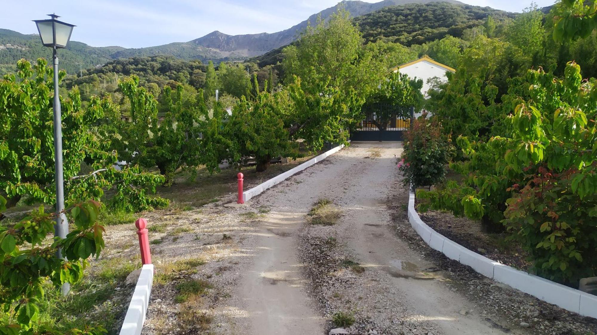 Los Cabales Torres  Exterior photo